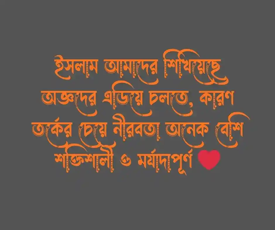মূর্খের সাথে তর্ক নিয়ে ইসলামিক স্ট্যাটাস