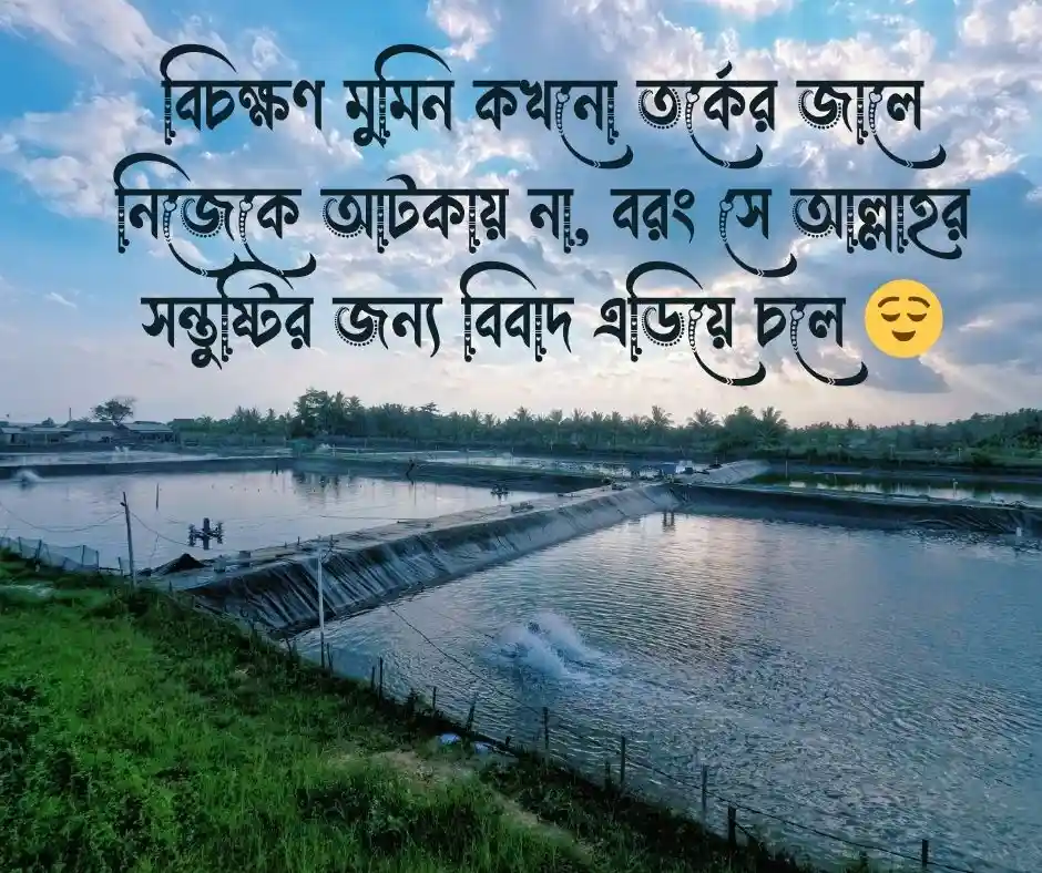 মূর্খের সাথে তর্ক নিয়ে ইসলামিক স্ট্যাটাস
