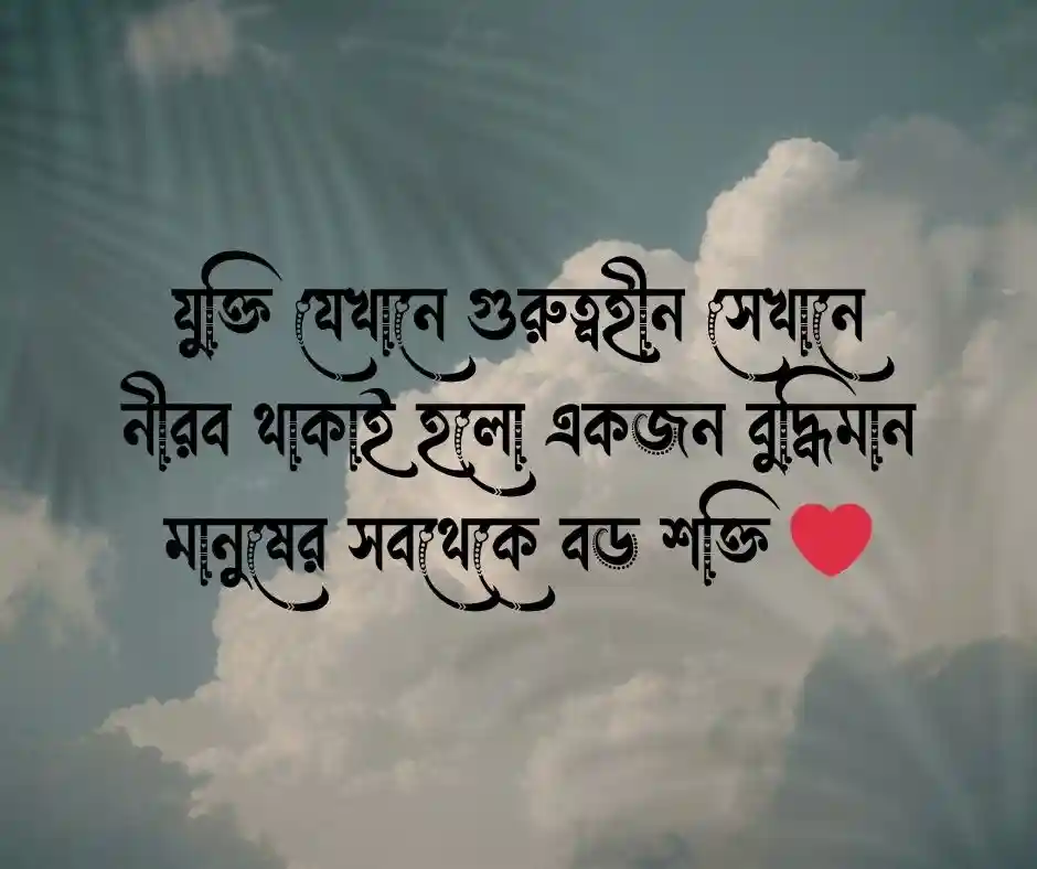মূর্খের সাথে তর্ক নিয়ে উক্তি