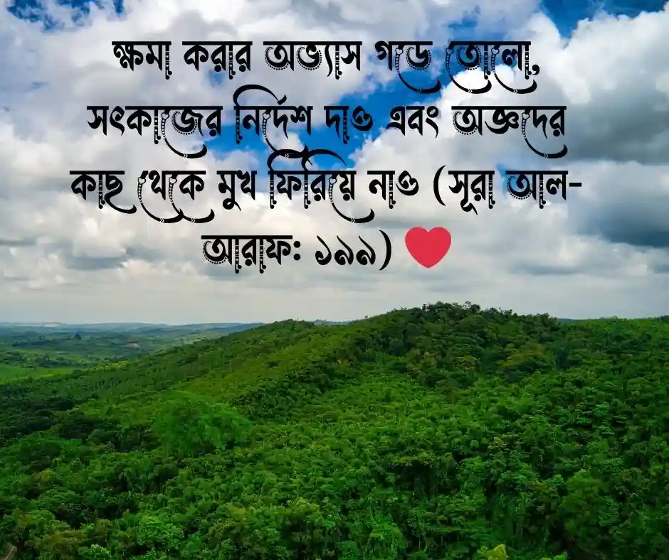 মূর্খের সাথে তর্ক নিয়ে কোরআনের আয়াত