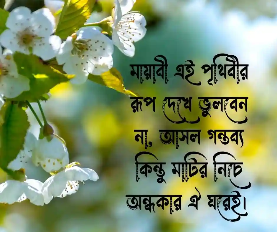 স্বার্থপর দুনিয়া নিয়ে উক্তি