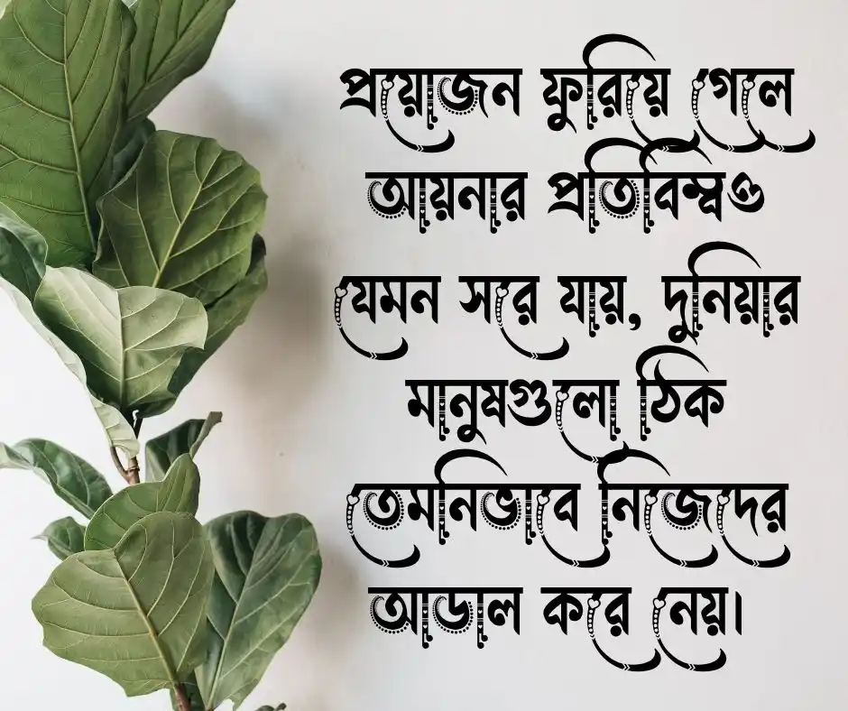 স্বার্থপর দুনিয়া নিয়ে উক্তি