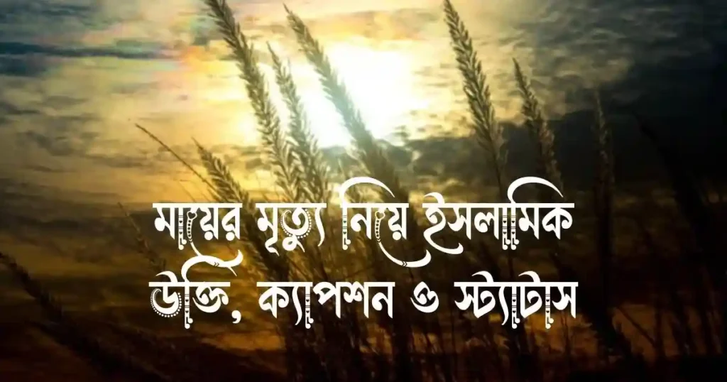 মায়ের মৃত্যু নিয়ে ইসলামিক উক্তি, ক্যাপশন ও স্ট্যাটাস