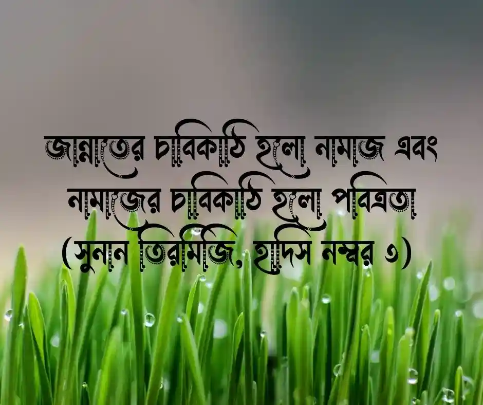 নামাজ নিয়ে হাদিস
