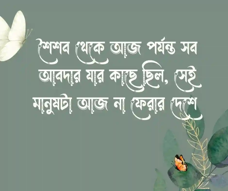 মায়ের মৃত্যু নিয়ে আবেগঘন স্ট্যাটাস