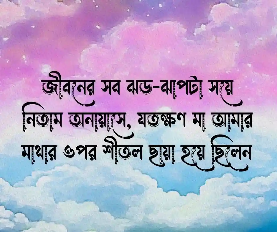 মায়ের মৃত্যু নিয়ে ফেসবুক স্ট্যাটাস