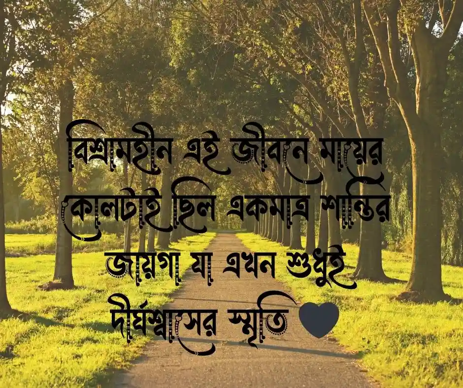 মায়ের মৃত্যু নিয়ে স্ট্যাটাস-মায়ের মৃত্যু নিয়ে ক্যাপশন