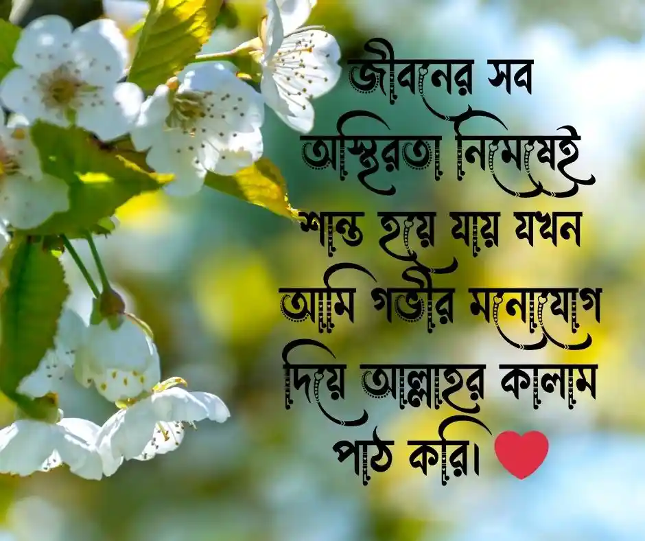 ১২ টি কুরআন নিয়ে উক্তি