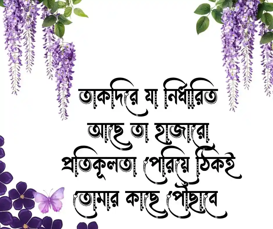 ১২ টি তাকদির নিয়ে ইসলামিক উক্তি