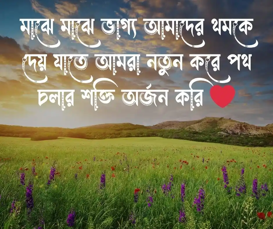 ১২ টি তাকদির নিয়ে স্ট্যাটাস&nbsp;