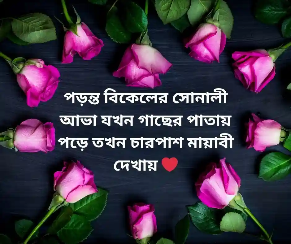 ১৫টি বিকেলের প্রকৃতি নিয়ে ক্যাপশন (1)