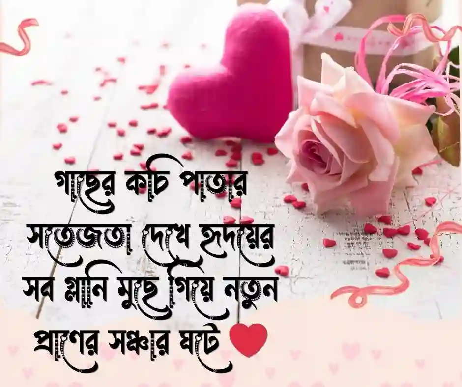 ১৫টি সবুজ প্রকৃতি নিয়ে ক্যাপশন (1)