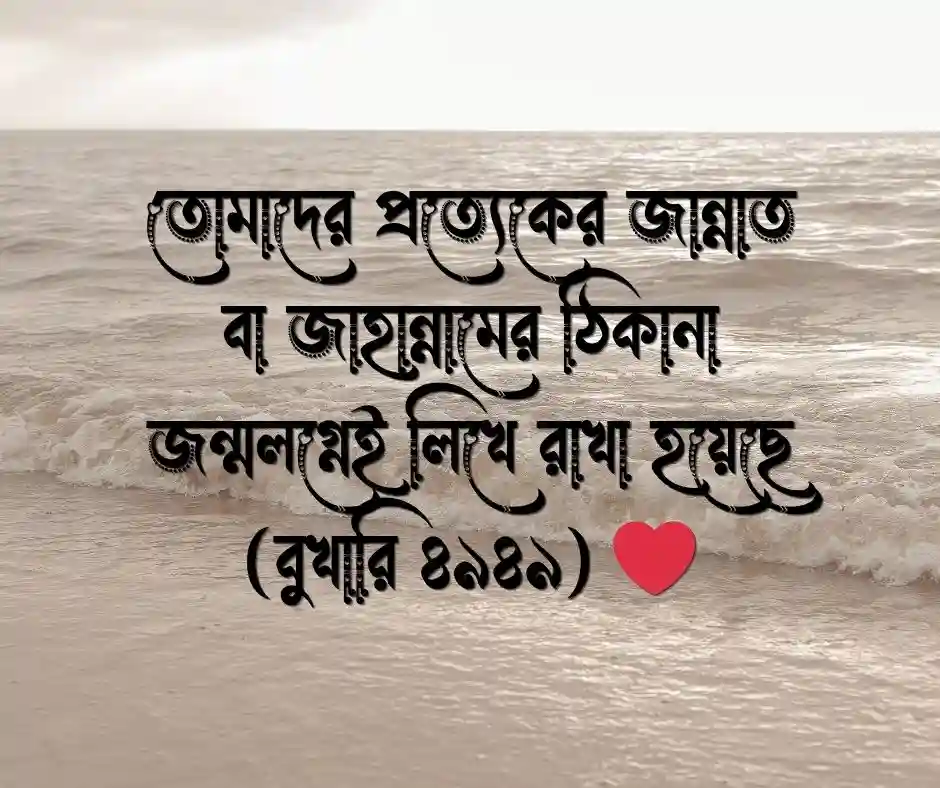 ১৫ টি তাকদির নিয়ে হাদিস&nbsp;