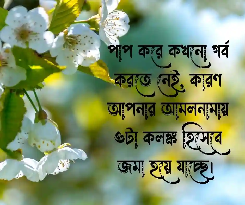 ১৫ টি পাপ নিয়ে ইসলামিক স্ট্যাটাস