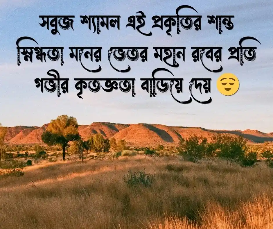 ২০টি প্রকৃতি নিয়ে ইসলামিক স্ট্যাটাস (2)