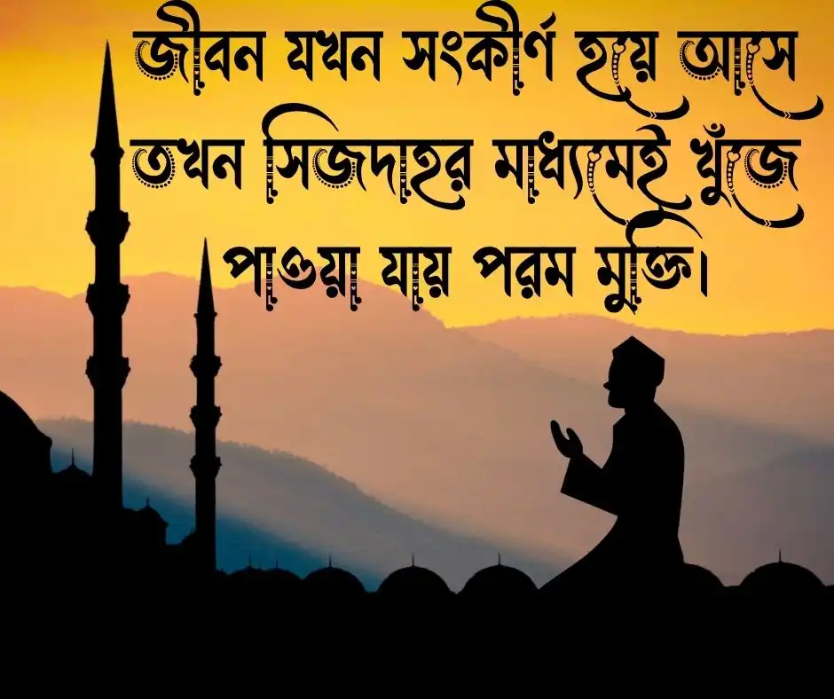 বাস্তব জীবন নিয়ে ইসলামিক উক্তি