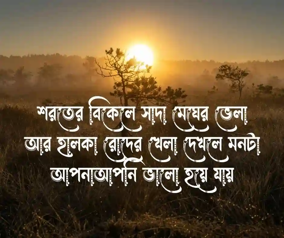 শুভ বিকেল নিয়ে ক্যাপশন