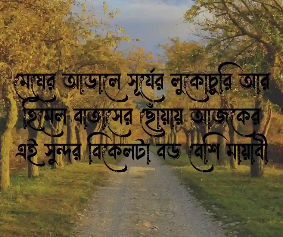 সুন্দর বিকেল নিয়ে ক্যাপশন