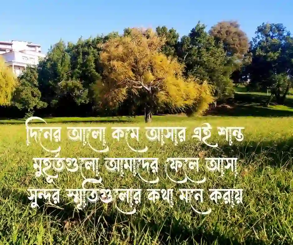 বিকেল নিয়ে ক্যাপশন