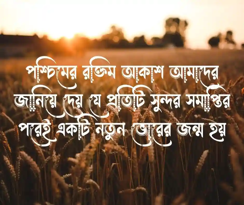 শুভ বিকেল নিয়ে উক্তি