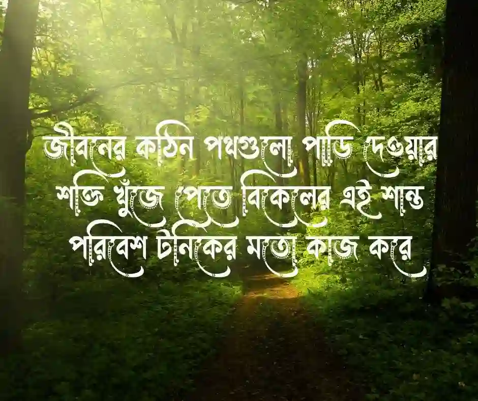 শুভ বিকেল নিয়ে উক্তি