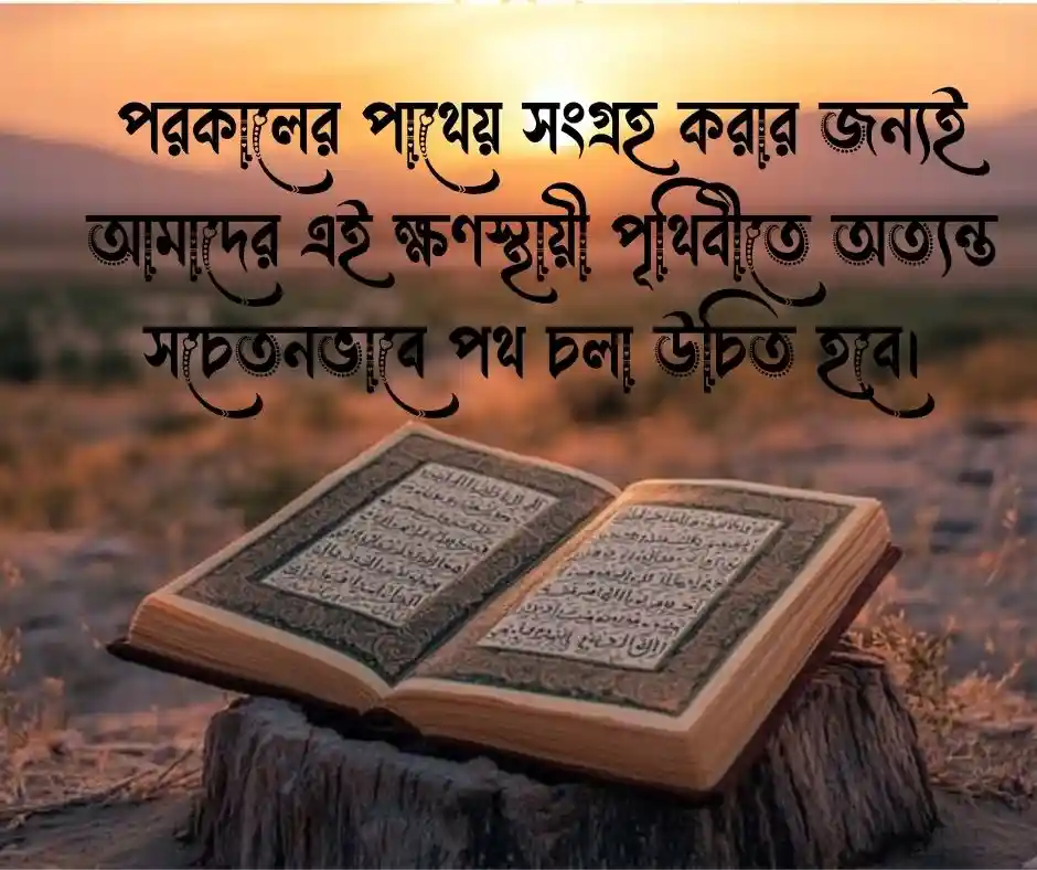 বাস্তব জীবন নিয়ে ইসলামিক উক্তি