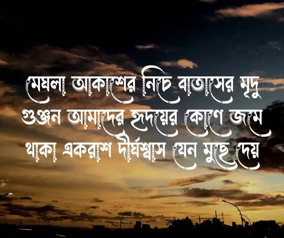 মেঘলা বিকেল নিয়ে ক্যাপশন