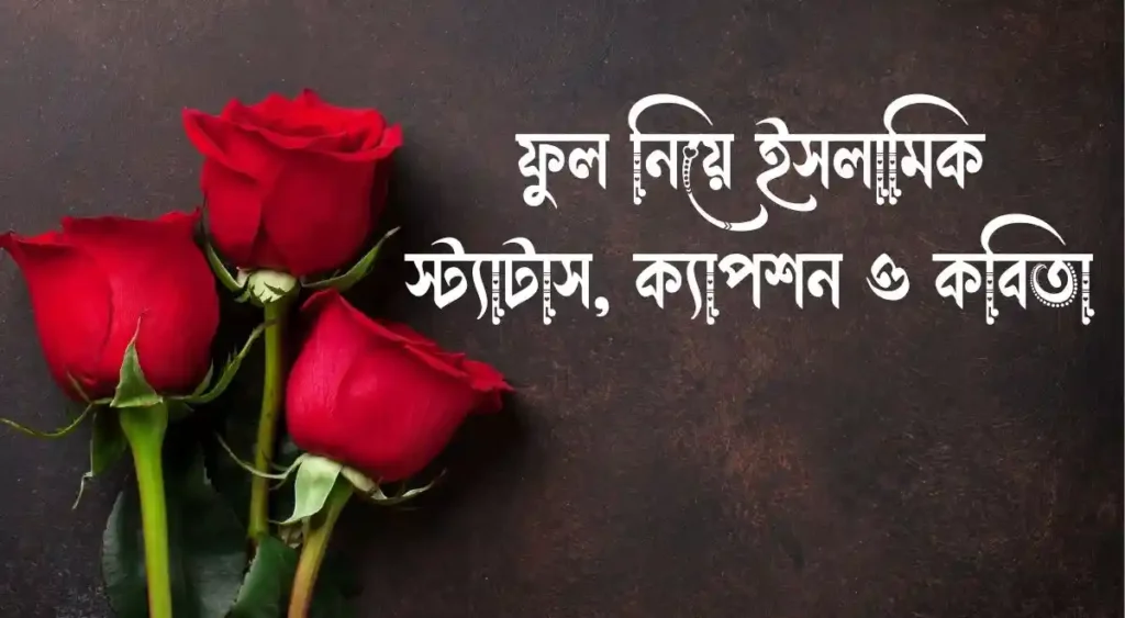 প্রকৃতি নিয়ে ইসলামিক স্ট্যাটাস,ক্যাপশন ও কবিতা.