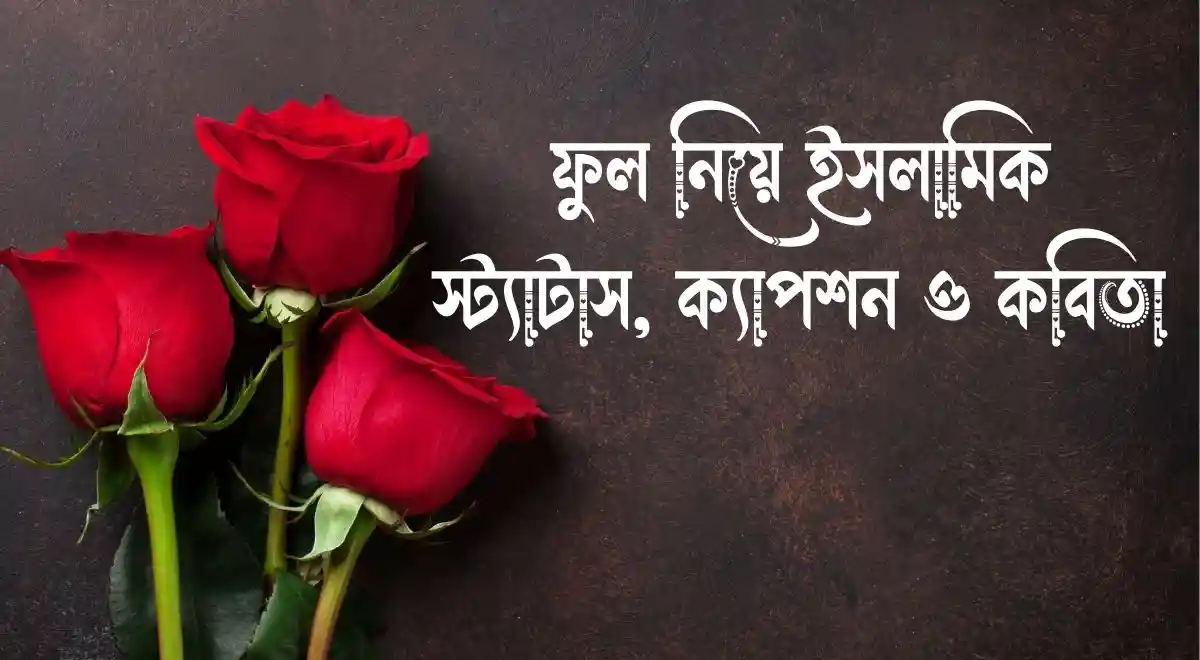 প্রকৃতি নিয়ে ইসলামিক স্ট্যাটাস,ক্যাপশন ও কবিতা.