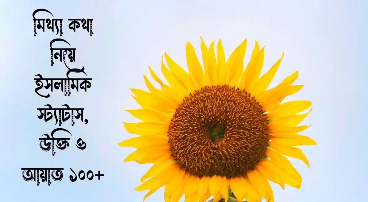 মিথ্যা কথা নিয়ে ইসলামিক স্ট্যাটাস, উক্তি ও আয়াত ১০০+