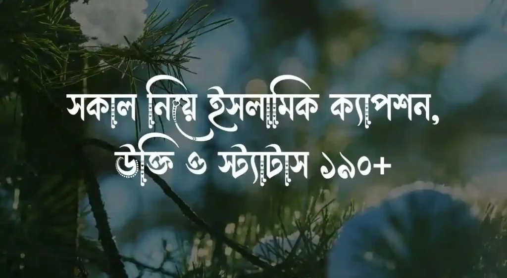 সকাল নিয়ে ইসলামিক ক্যাপশন, উক্তি ও স্ট্যাটাস ১৯০+