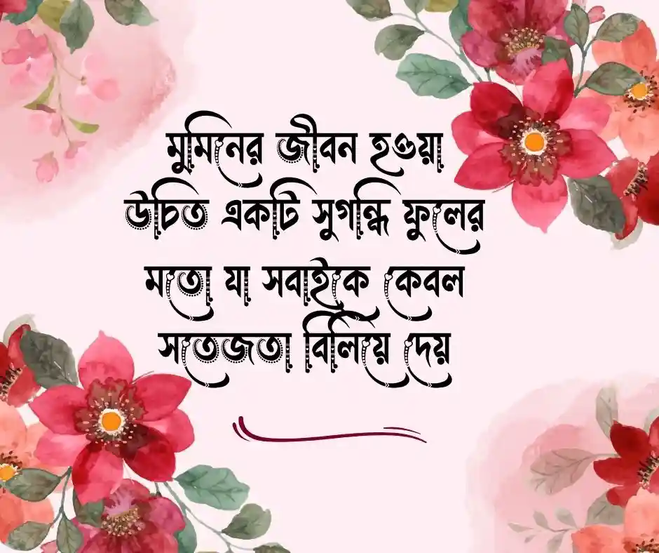 ফুল নিয়ে ইসলামিক স্ট্যাটাস