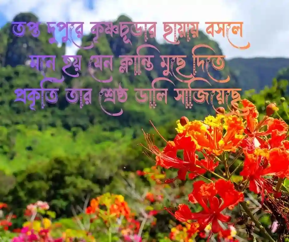 কৃষ্ণচূড়া ফুল নিয়ে ক্যাপশন
