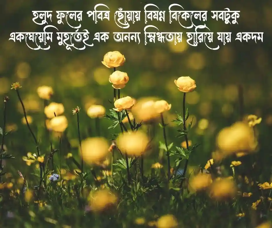 হলুদ ফুল নিয়ে ক্যাপশন