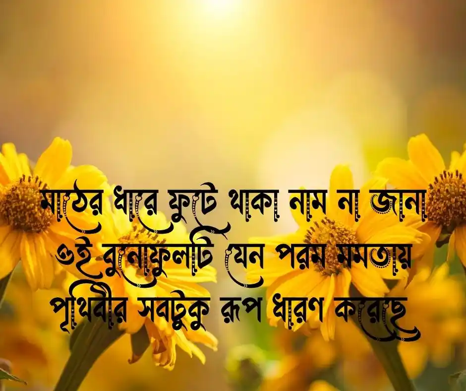 ফুল নিয়ে স্ট্যাটাস