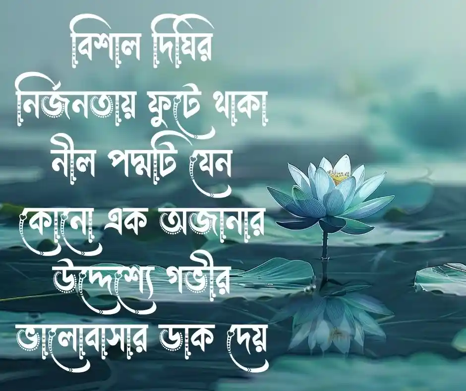 পদ্ম ফুল নিয়ে ক্যাপশন