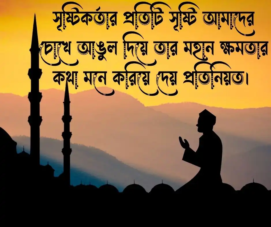 আল্লাহর প্রসংশা করার নিয়ে উক্তি
