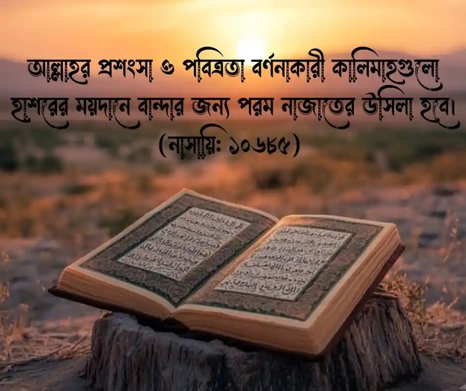 আল্লাহর প্রসংশা করার নিয়ে ক্যাপশন&nbsp;