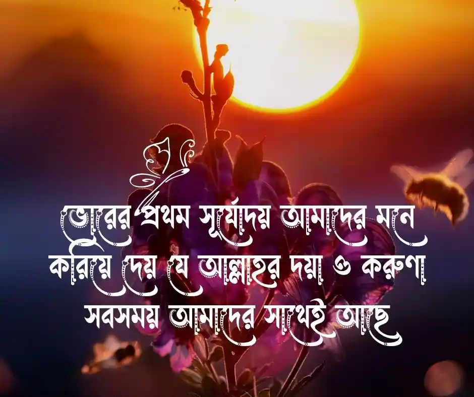 শুভ সকাল নিয়ে ইসলামিক ক্যাপশন