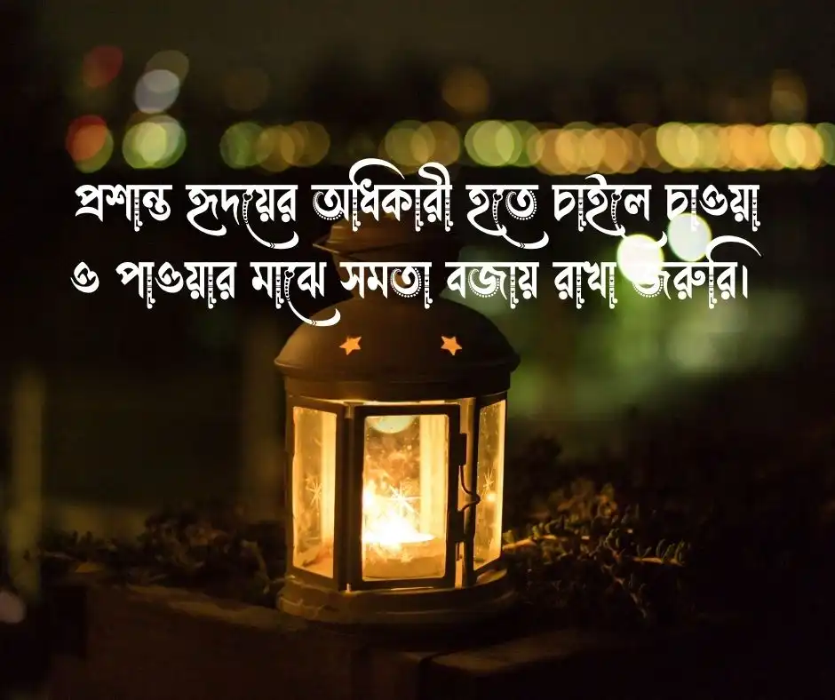 সন্তষ্টি নিয়ে স্ট্যাটাস