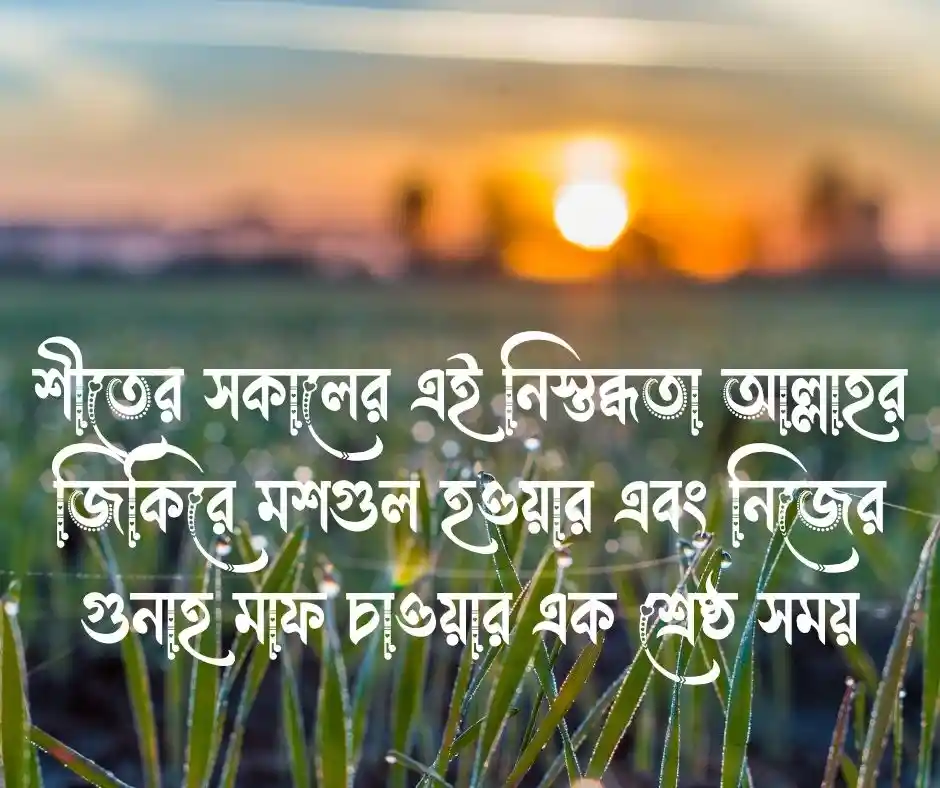 শীতের সকাল নিয়ে ইসলামিক ক্যাপশন