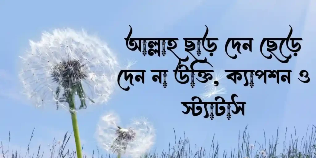 আল্লাহ ছাড় দেন ছেড়ে দেন না উক্তি, ক্যাপশন ও স্ট্যাটাস