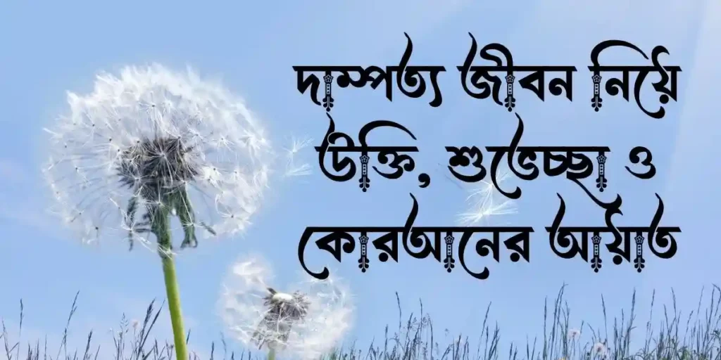 দাম্পত্য জীবন নিয়ে উক্তি, শুভেচ্ছা ও কোরআনের আয়াত