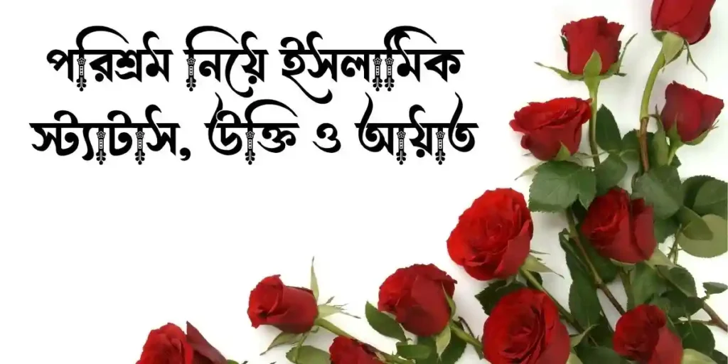 পরিশ্রম নিয়ে ইসলামিক স্ট্যাটাস, উক্তি ও আয়াত