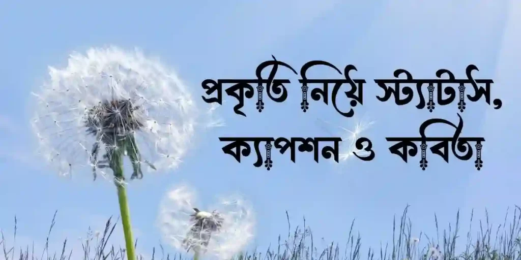 প্রকৃতি নিয়ে স্ট্যাটাস, ক্যাপশন ও কবিতা