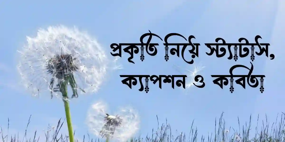 প্রকৃতি নিয়ে স্ট্যাটাস, ক্যাপশন ও কবিতা