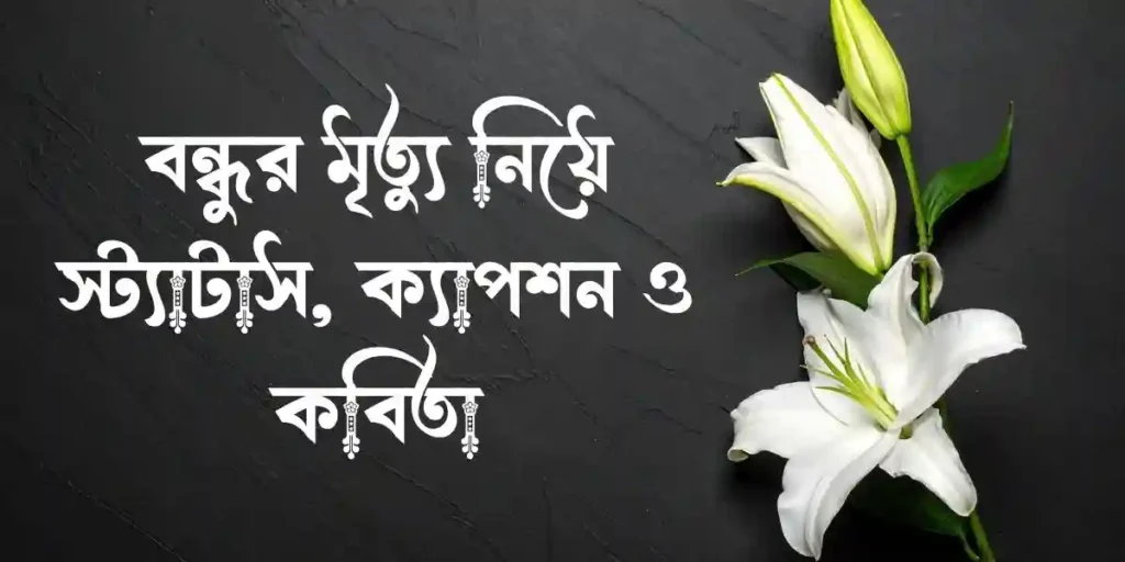 বন্ধুর মৃত্যু নিয়ে স্ট্যাটাস, ক্যাপশন ও কবিতা