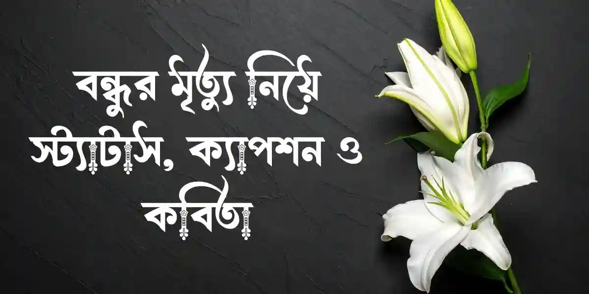 বন্ধুর মৃত্যু নিয়ে স্ট্যাটাস, ক্যাপশন ও কবিতা