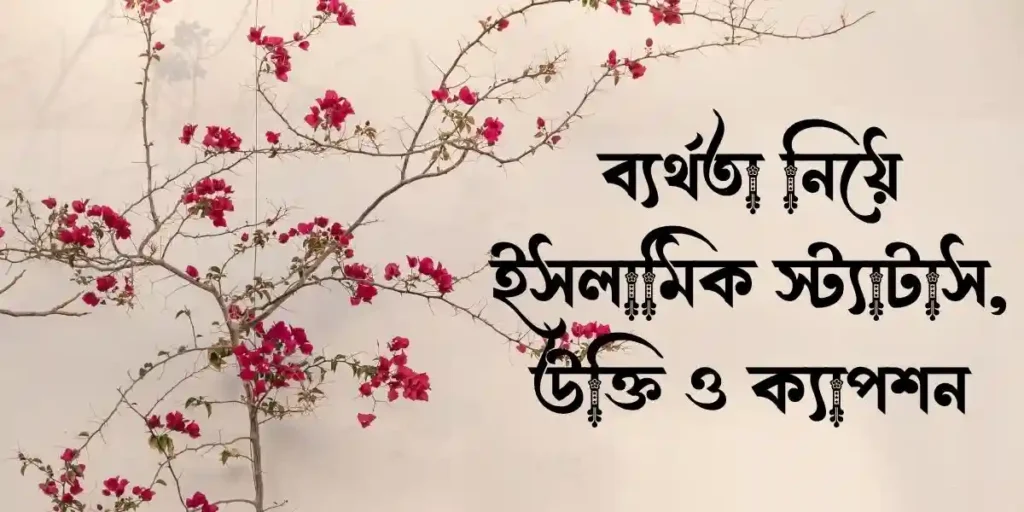 ব্যর্থতা নিয়ে ইসলামিক স্ট্যাটাস, উক্তি ও ক্যাপশন