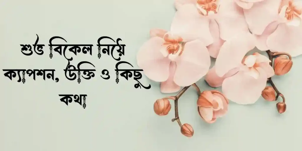 শুভ বিকেল নিয়ে ক্যাপশন, উক্তি ও কিছু কথা